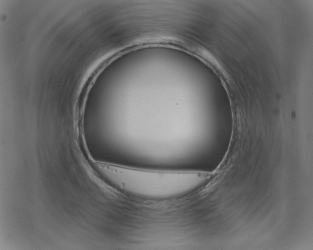 X0000078011124200610270941