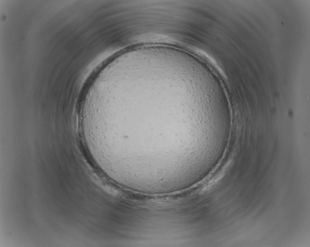 X0000078011125200610270941