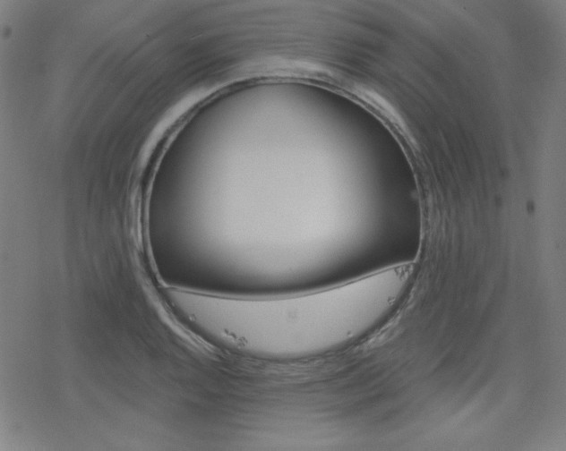 X0000078011128200610270941