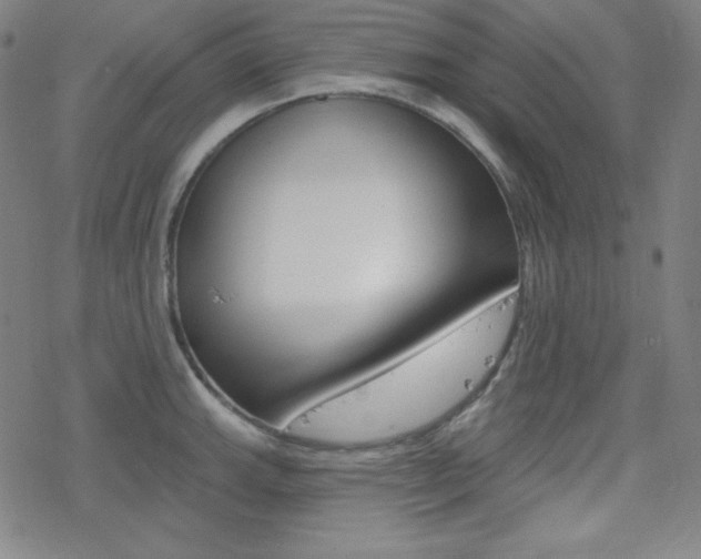 X0000078011143200610270941