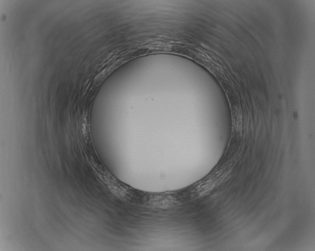 X0000078011154200610270940