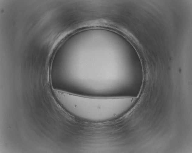 X0000078011224200610270939