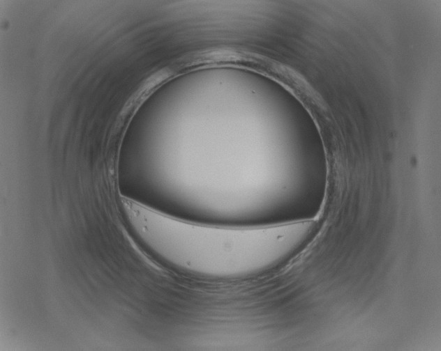 X0000078011225200610270939
