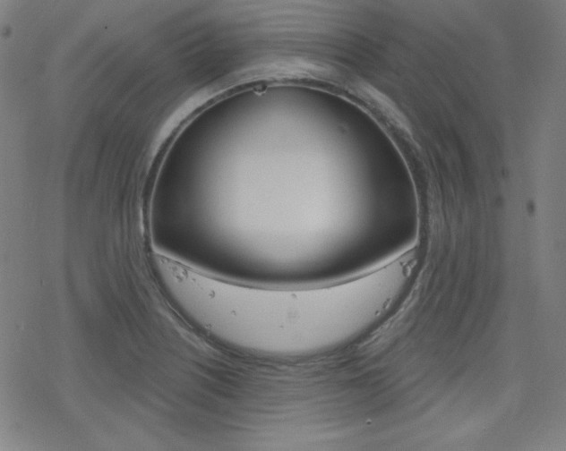 X0000078011226200610270939