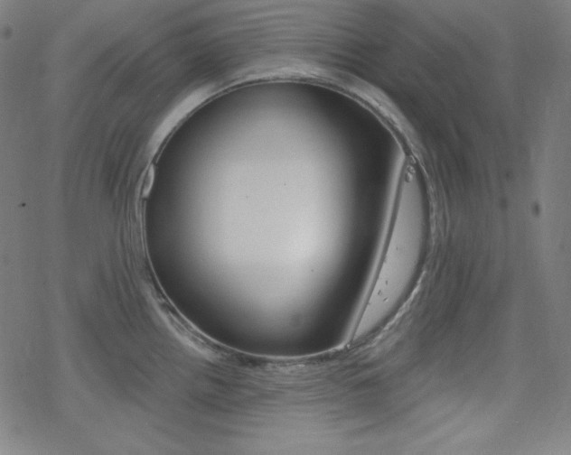 X0000078011242200610270940