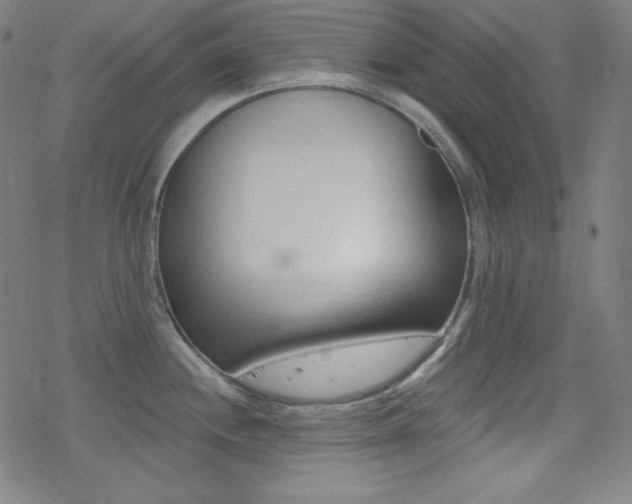 X0000078011244200610270940