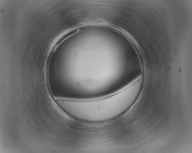 X0000078011246200610270940