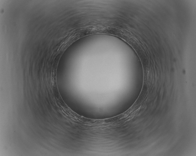 X0000078011250200610270939