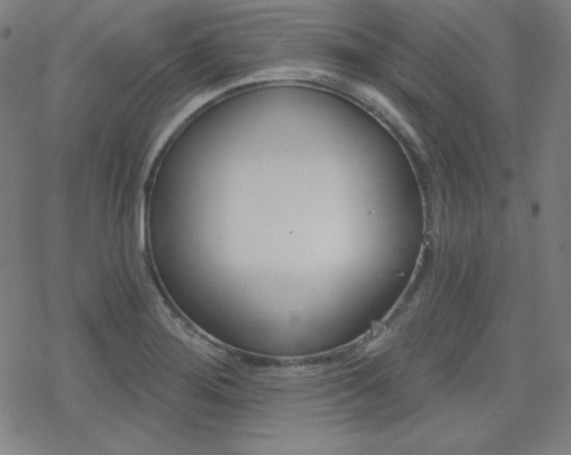 X0000078011276200610270938