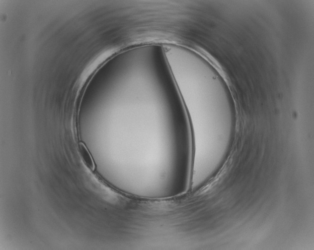 X0000078011293200610270938