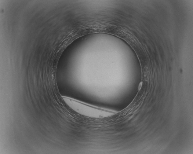 X0000078011298200610270937