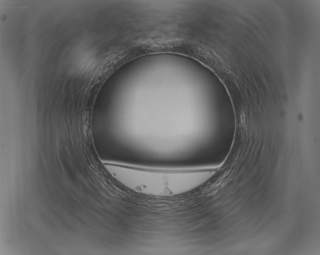 X0000078011300200610270937