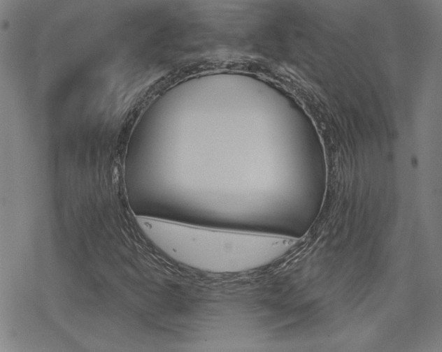 X0000078011302200610270937