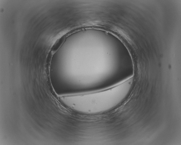X0000078011308200610270938