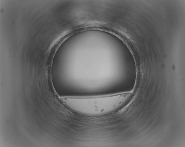 X0000078011309200610270938