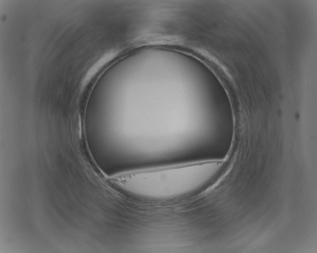 X0000078011317200610270938