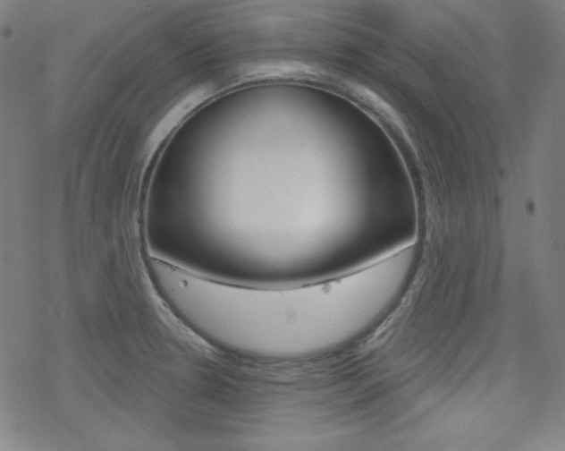 X0000078011330200610270938