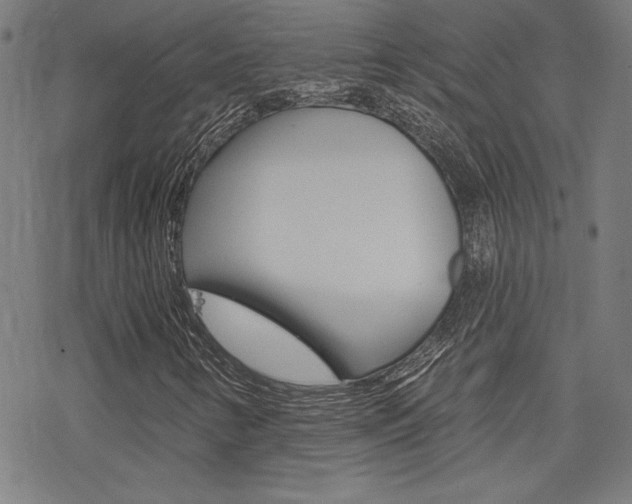X0000078011346200610270937