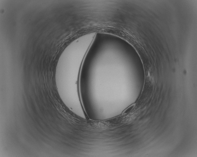 X0000078011348200610270937