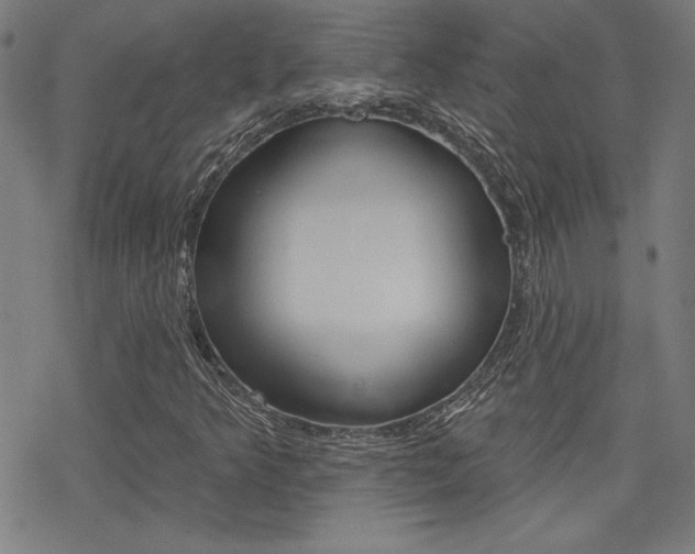 X0000078011349200610270937