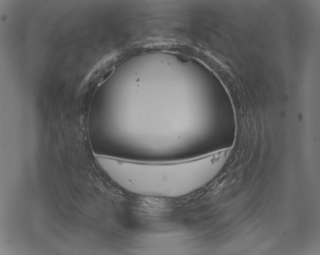 X0000078011351200610270937