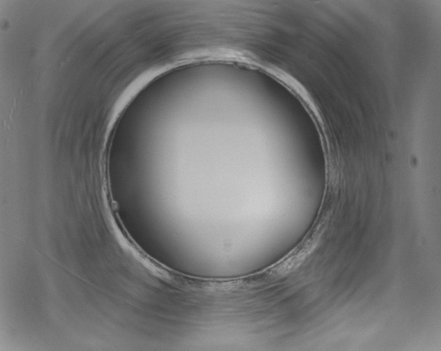 X0000078011389200610270937