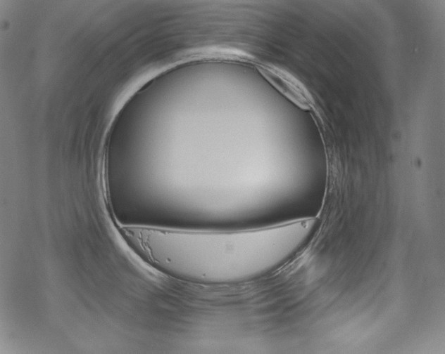 X0000078011391200610270937