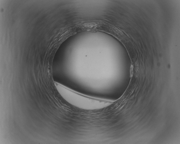 X0000078011394200610270936