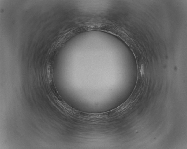 X0000078011396200610270936