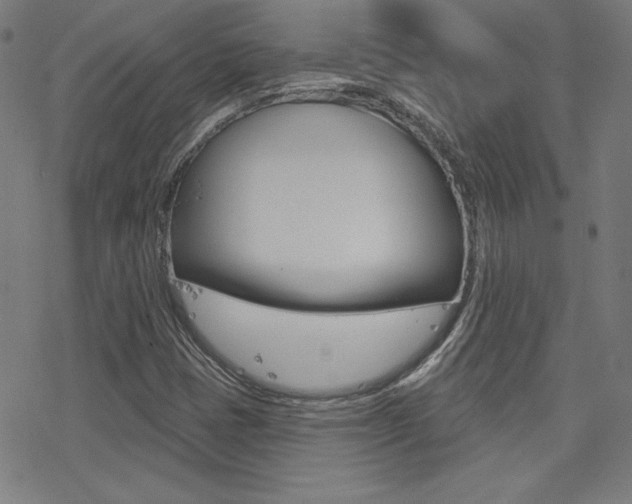 X0000078011401200610270936