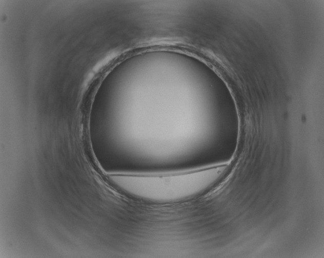 X0000078011406200610270936