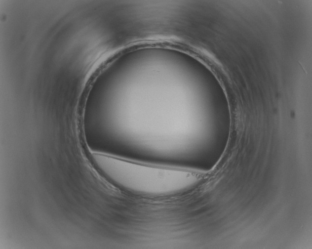 X0000078011412200610270936