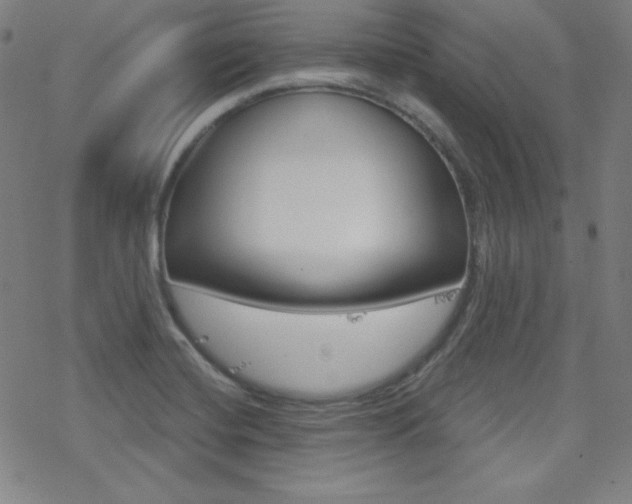X0000078011420200610270936