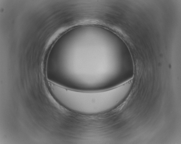 X0000078011422200610270936