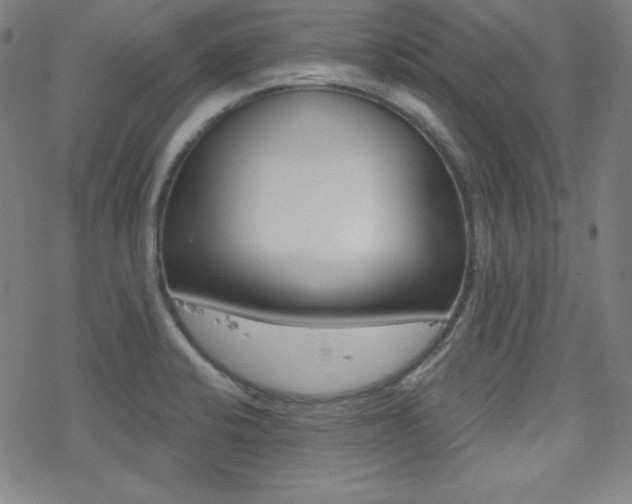 X0000078011424200610270936