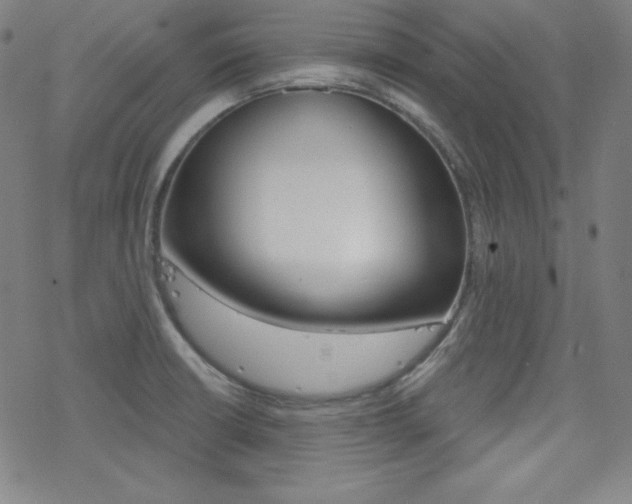 X0000078011426200610270936