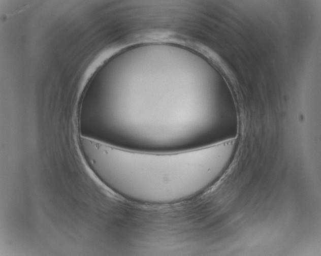 X0000078011432200610270936