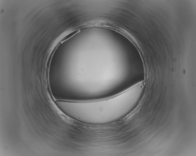 X0000078011434200610270936