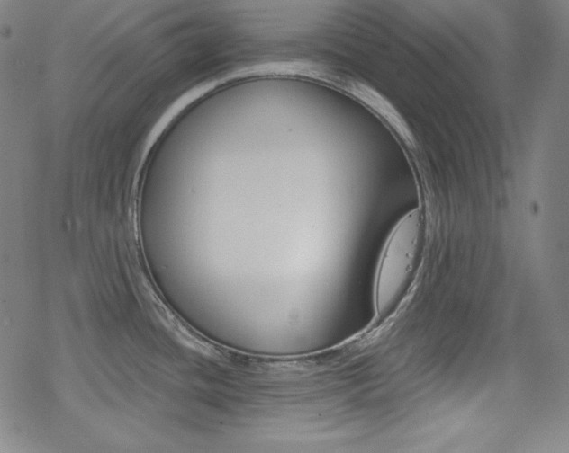 X0000078011436200610270937