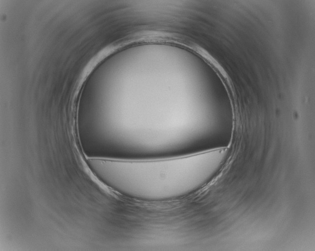 X0000078011437200610270937