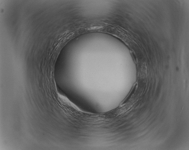 X0000078011441200610270936