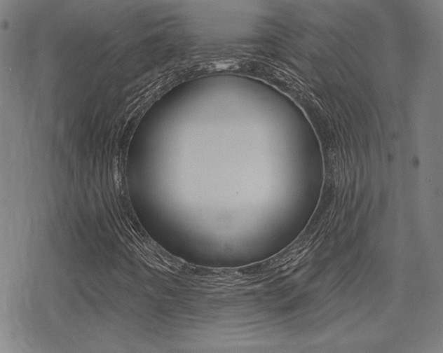 X0000078011442200610270936