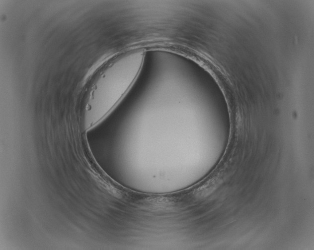 X0000078011450200610270936