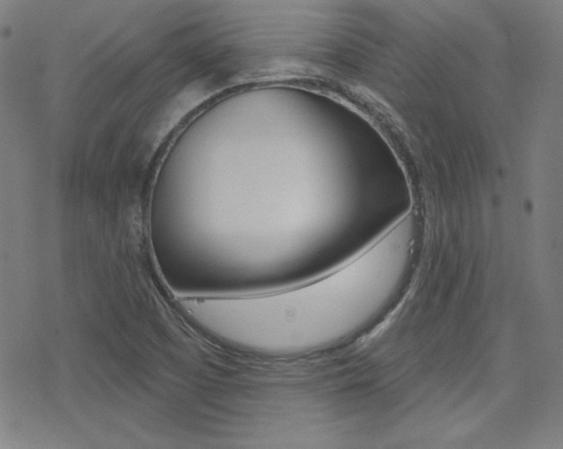 X0000078011457200610270936