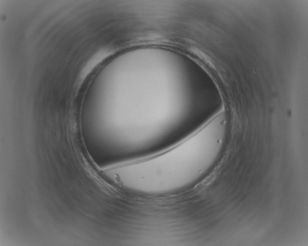 X0000078011458200610270935