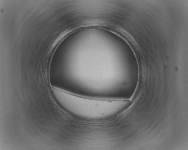 X0000078011465200610270935