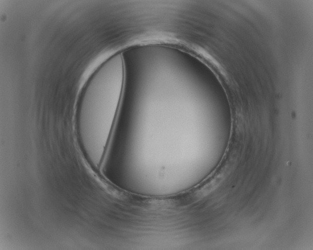 X0000078011469200610270935