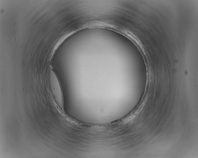 X0000078011481200610270935