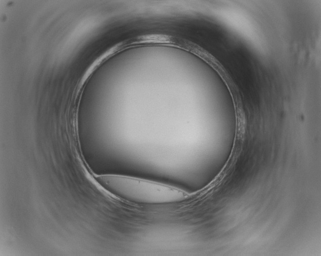 X0000078011487200610270935