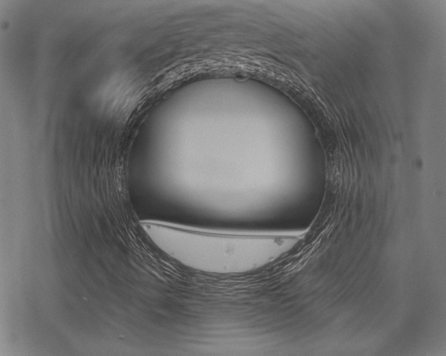 X0000078011490200610270934